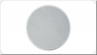 Canton InCeiling 849-16