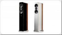 Q Acoustics Concept 500 Paar hochglanz mit Holz *alle Farben*