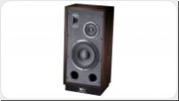Magnat Transpuls 1000 L Full-Size Retro-Standbox *holz*