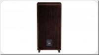 Magnat Transpuls 1000 L Full-Size Retro-Standbox *holz*