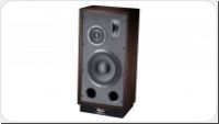 Magnat Transpuls 1000 R Full-Size Retro-Standbox *holz*