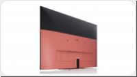Loewe We. SEE 43 108 cm (43 Zoll) LCD-TV *alle Farben*